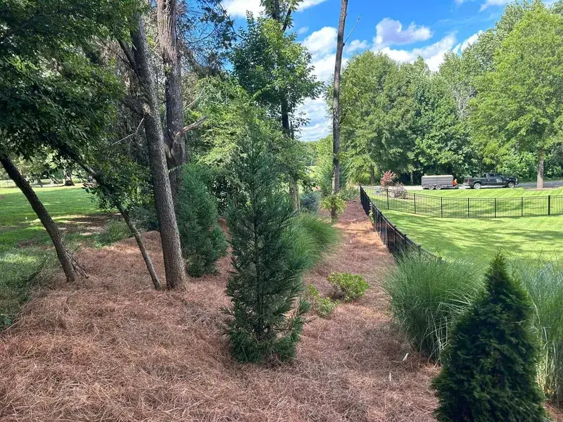 Pine needle install — Concord NC