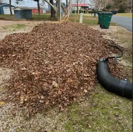 Leaf removal — The Pine Needle Man Landscaping, Concord NC