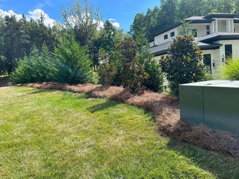 Pine needle installation — The Pine Needle Man Landscaping, Concord NC